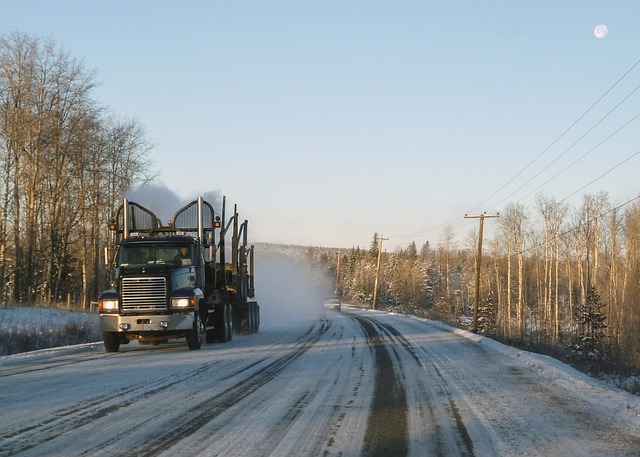 Un seguro de camión puede ser de gran ayuda en invierno