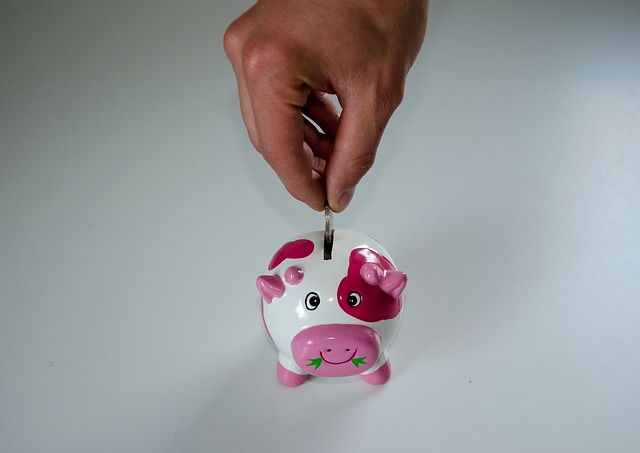 Seguros de Vida Ahorro