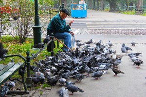 El 33% de los peatones fallecidos anualmente son mayores de 65 años