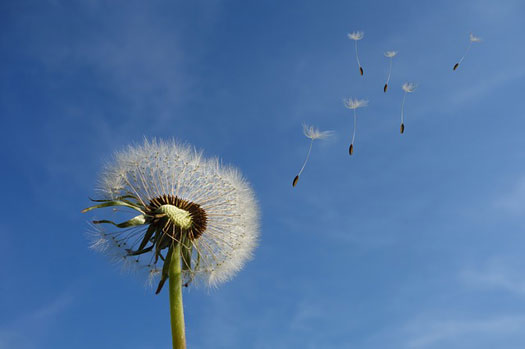 Seguros de Vida y herederos beneficarios