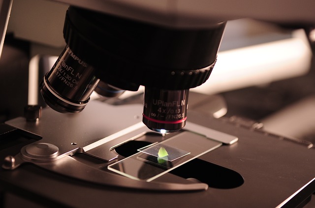 Axa, comprometido en la investigación contra el cáncer en España Axa, comprometido en la investigación contra el cáncer en España
